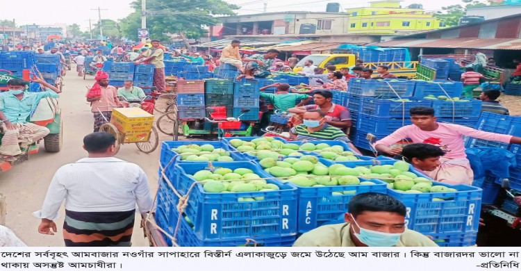 সাপাহারে আম বাজার জমে উঠলেও দামে অসন্তুষ্ট আমচাষীরা