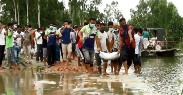 কুড়িগ্রামে ছাত্রলীগের উদ্যোগে  সড়ক মেরামত