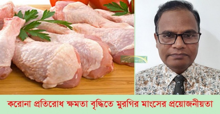 করোনা প্রতিরোধ ক্ষমতা বৃদ্ধিতে মুরগীর মাংসের প্রয়োজনীয়তা