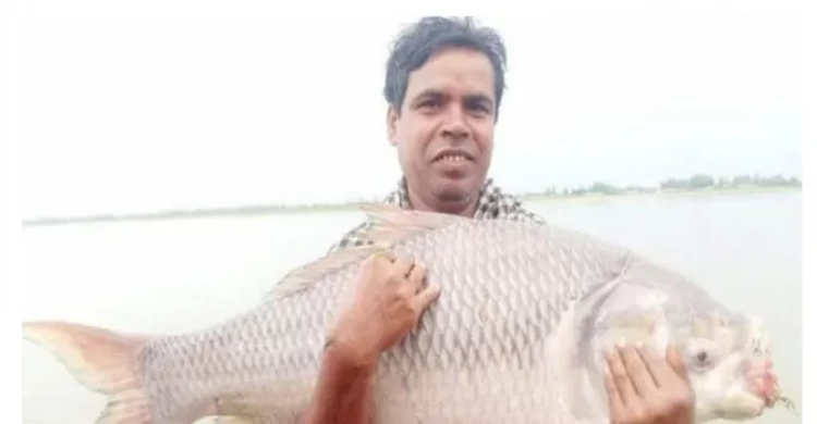 কুড়িগ্রামে বড়শিতে মিললো  ১৮ কেজি কাতল মাছ