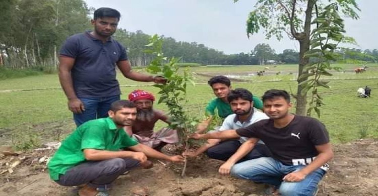 পলাশবাড়ীতে পিএইচও স্বেচ্ছাসেবী সংগঠনের উদ্যোগে বৃক্ষরোপন