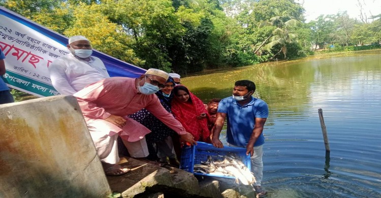 সাপাহারে পোনামাছ অবমুক্তকরণ