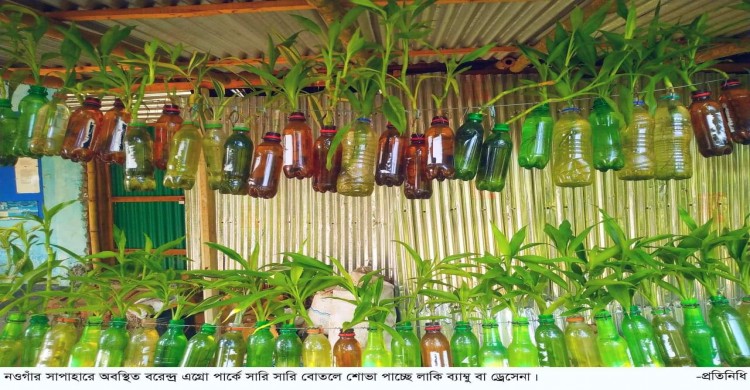 সাপাহারে সারি সারি বোতলে শোভা পাচ্ছে “লাকি ব্যাম্বু”