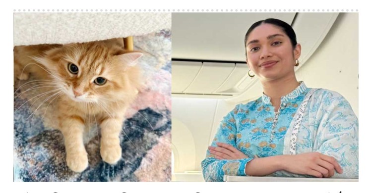 প্রিয় জেবুকে নিয়ে গল্প লিখেছেন জাইমা রহমান