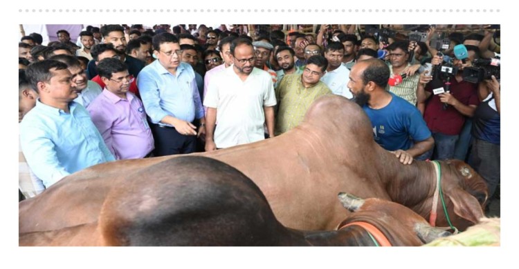 বৈধ উৎসে কোরবানির পশু কেনার আহ্বান প্রতিমন্ত্রীর