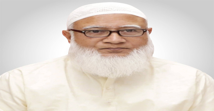 শারদীয় দুর্গোৎসবে হিন্দু সম্প্রদায়কে আমীরে জামায়াতের শুভেচ্ছা-